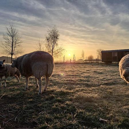 Harelbeke De Skureヴィラ エクステリア 写真